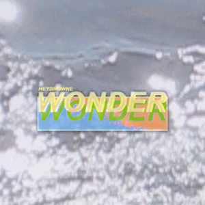 WONDER